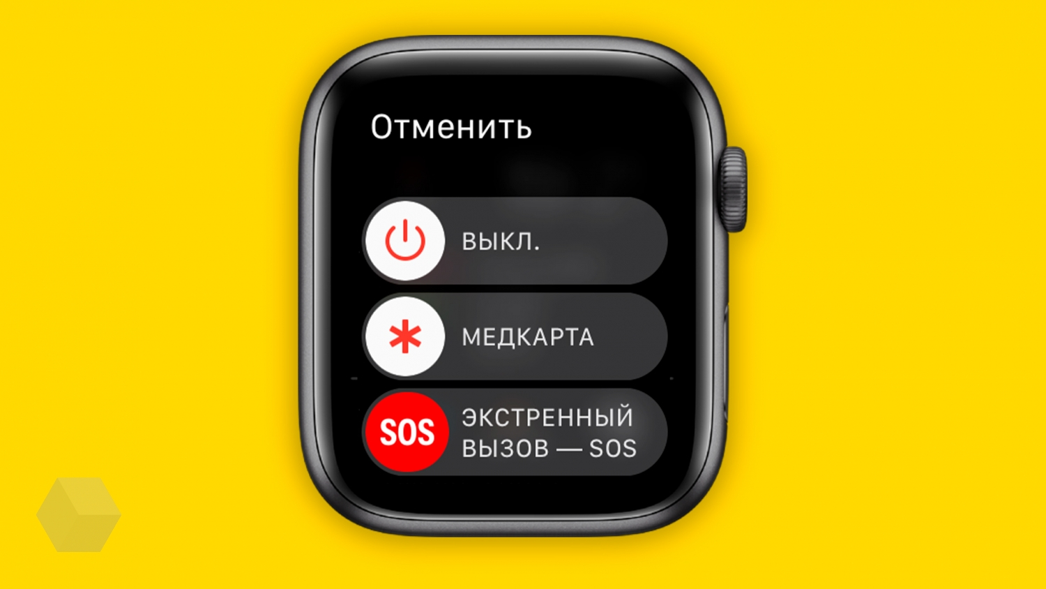 10 функций Apple Watch, чтобы привести своё здоровье в порядок - Rozetked.me