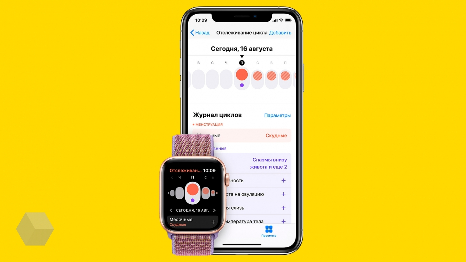 10 функций Apple Watch, чтобы привести своё здоровье в порядок - Rozetked.me