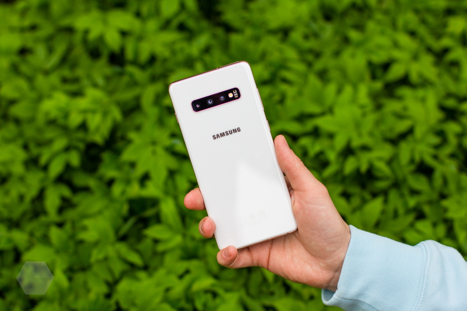 Почему Samsung Galaxy S10+ ещё топ в 2020 году. Опыт использования -  Rozetked.me