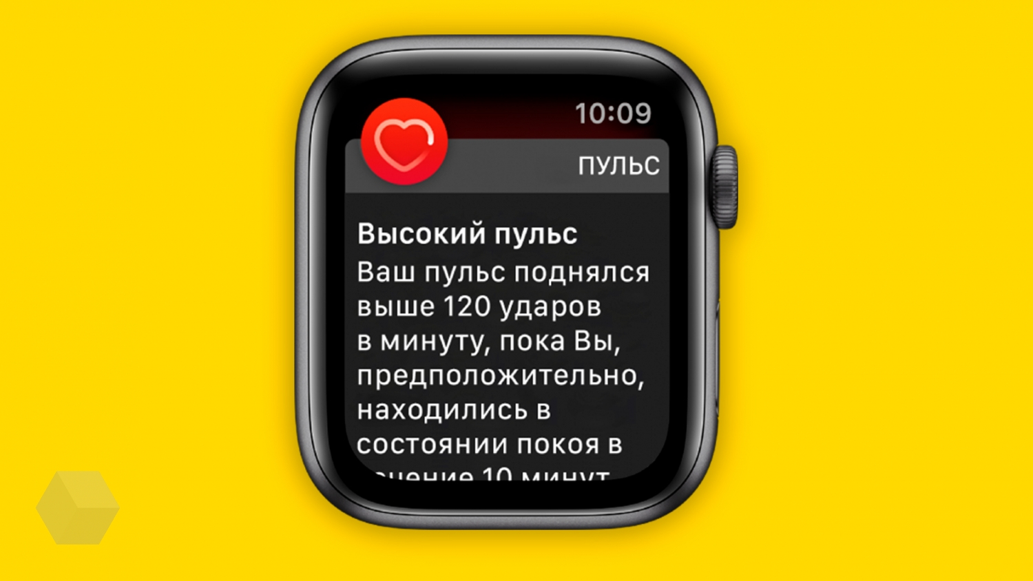 10 функций Apple Watch, чтобы привести своё здоровье в порядок - Rozetked.me