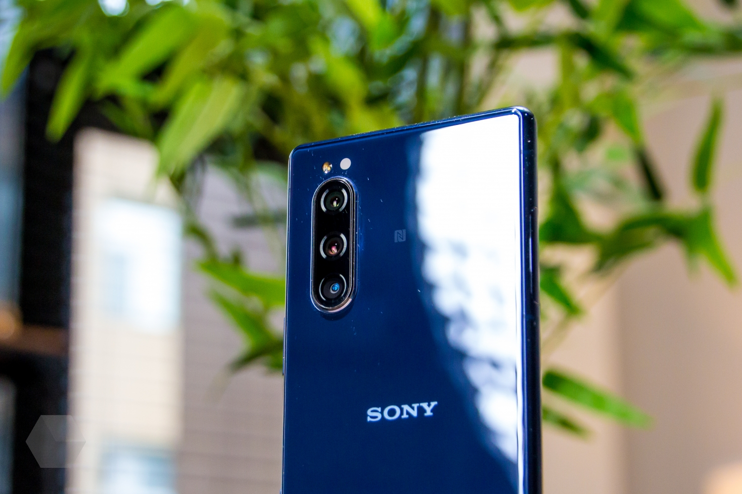 Обзор Sony Xperia 5. Недооценённый флагман 2019 года? - Rozetked.me