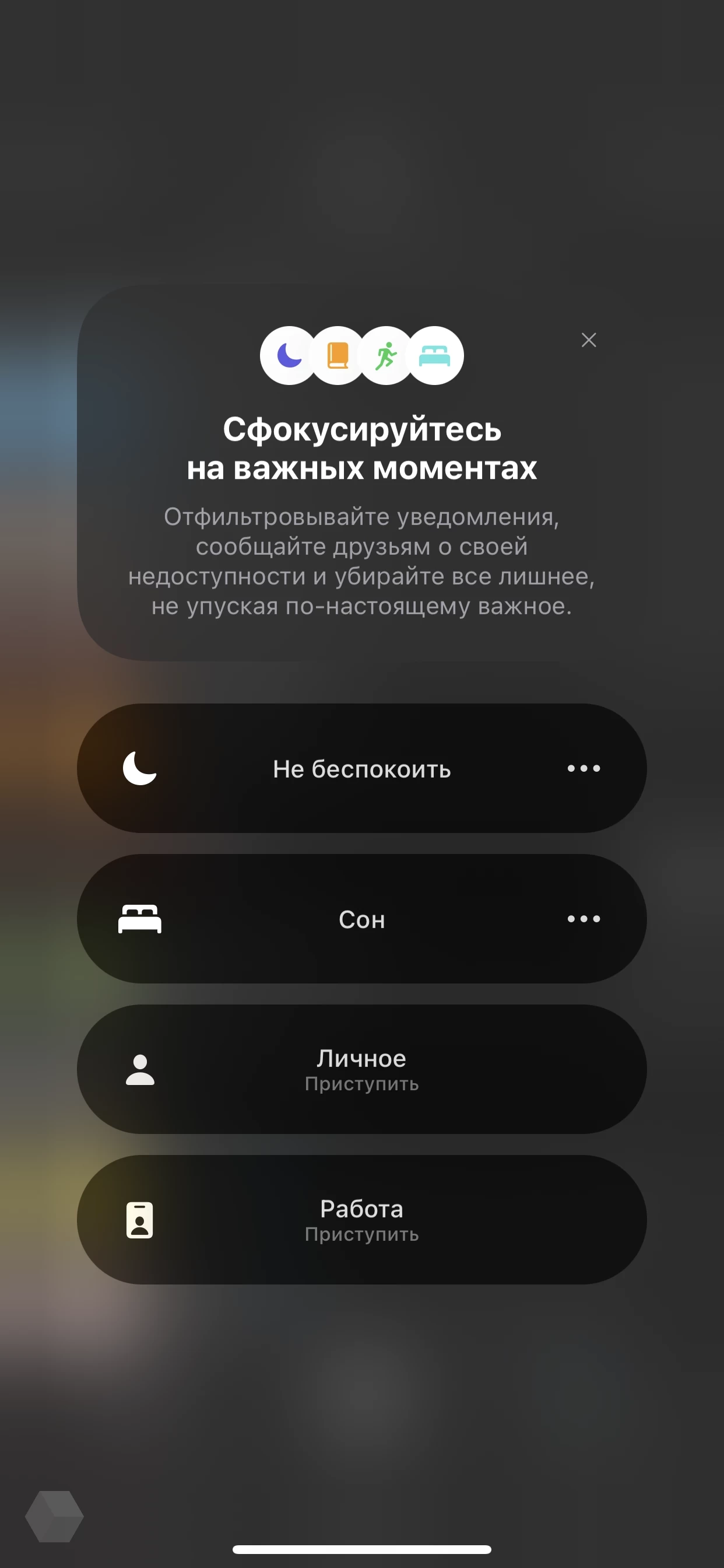 Обзор iOS 15. Что появится, а что нет - Rozetked.me