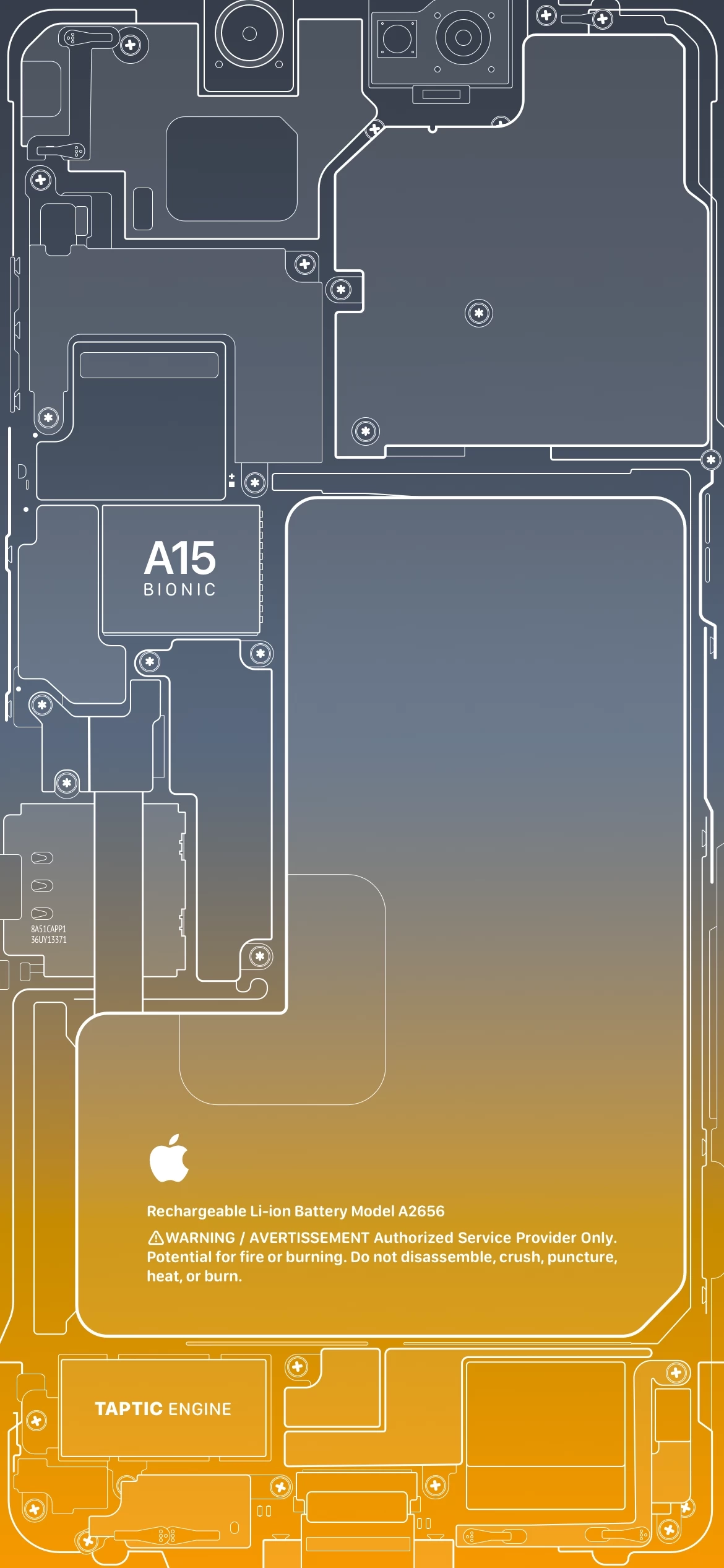 Обои в стиле схемы внутренних компонентов для линейки iPhone 13 -  Rozetked.me