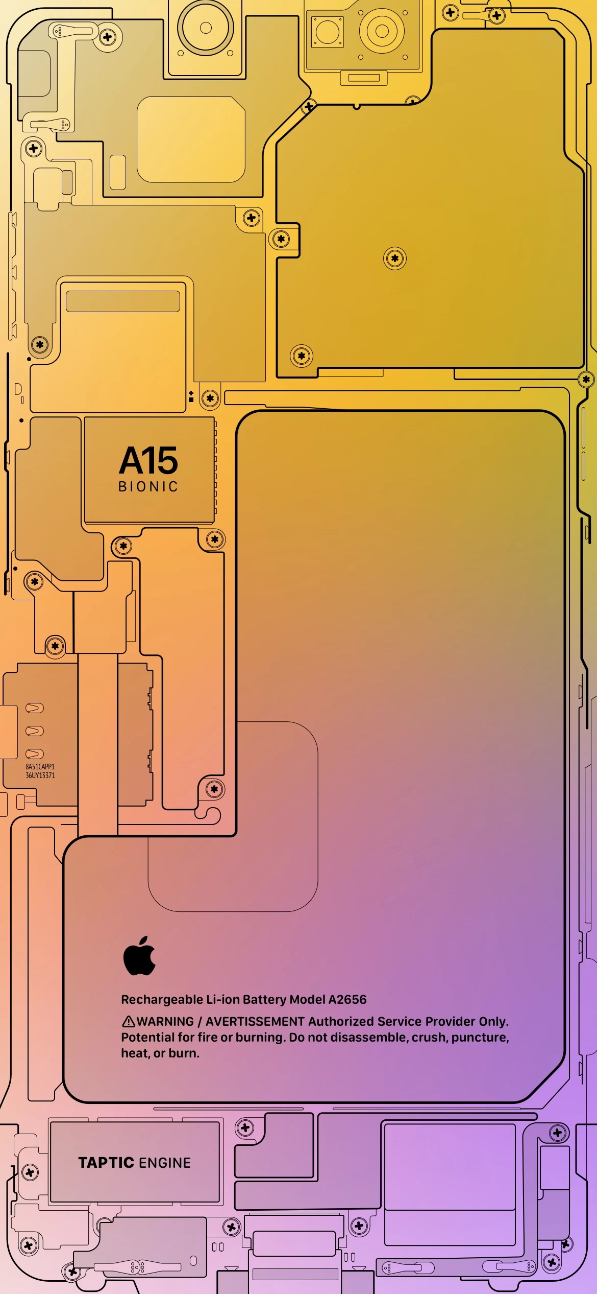 Обои в стиле схемы внутренних компонентов для линейки iPhone 13 -  Rozetked.me