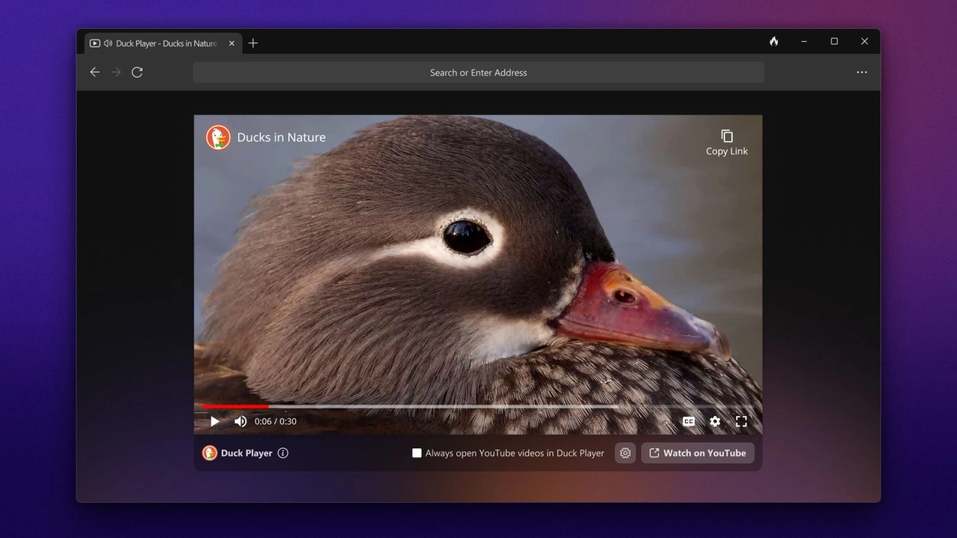 DuckDuckGo выпустила бета-версию браузера для Windows - Rozetked.me
