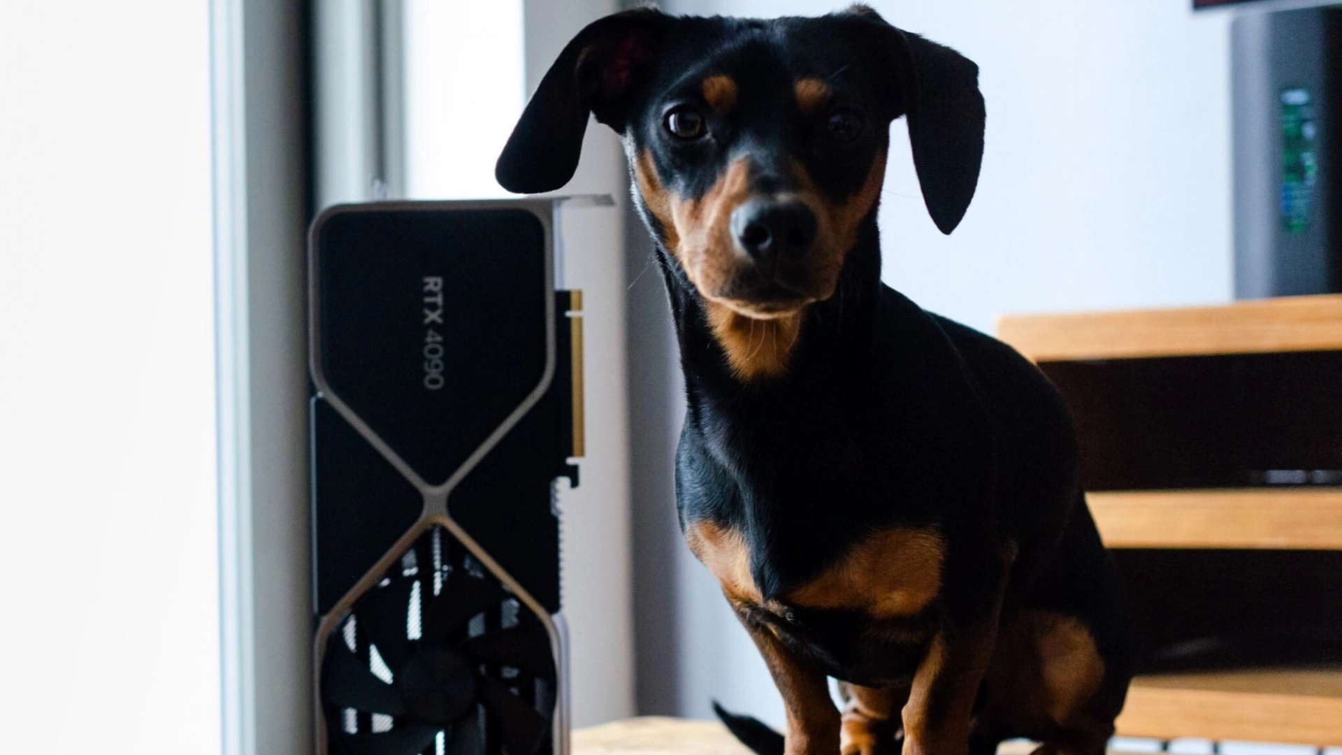 Размеры GeForce RTX 4090 сравнили с бананом, Xbox Series S и собакой