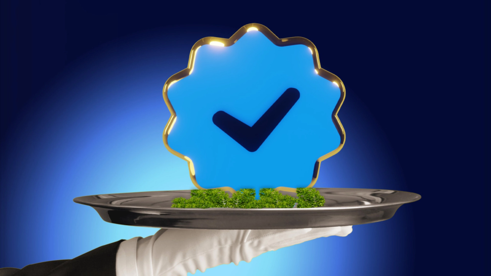 Tumblr предлагает купить две синие галочки за 8 долларов. Выгоднее, чем у Twitter!