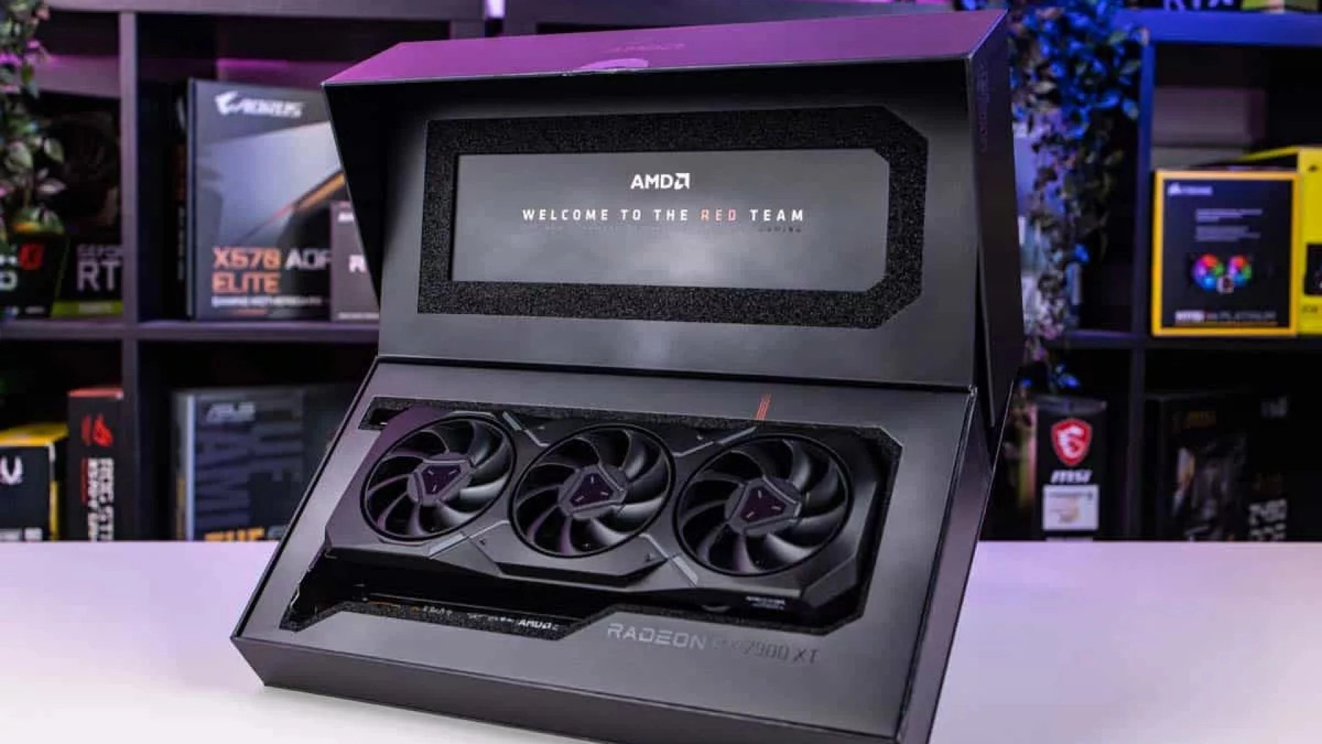 DNS анонсировал старт продаж новых видеокарт Radeon RX 7900 XTX и RX 7900 XT