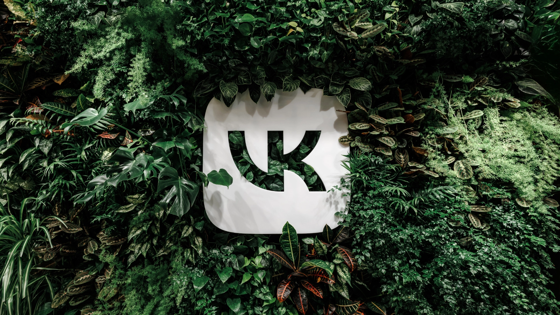 «ВКонтакте» открыла штаб-квартиру в Доме Зингера после реновации