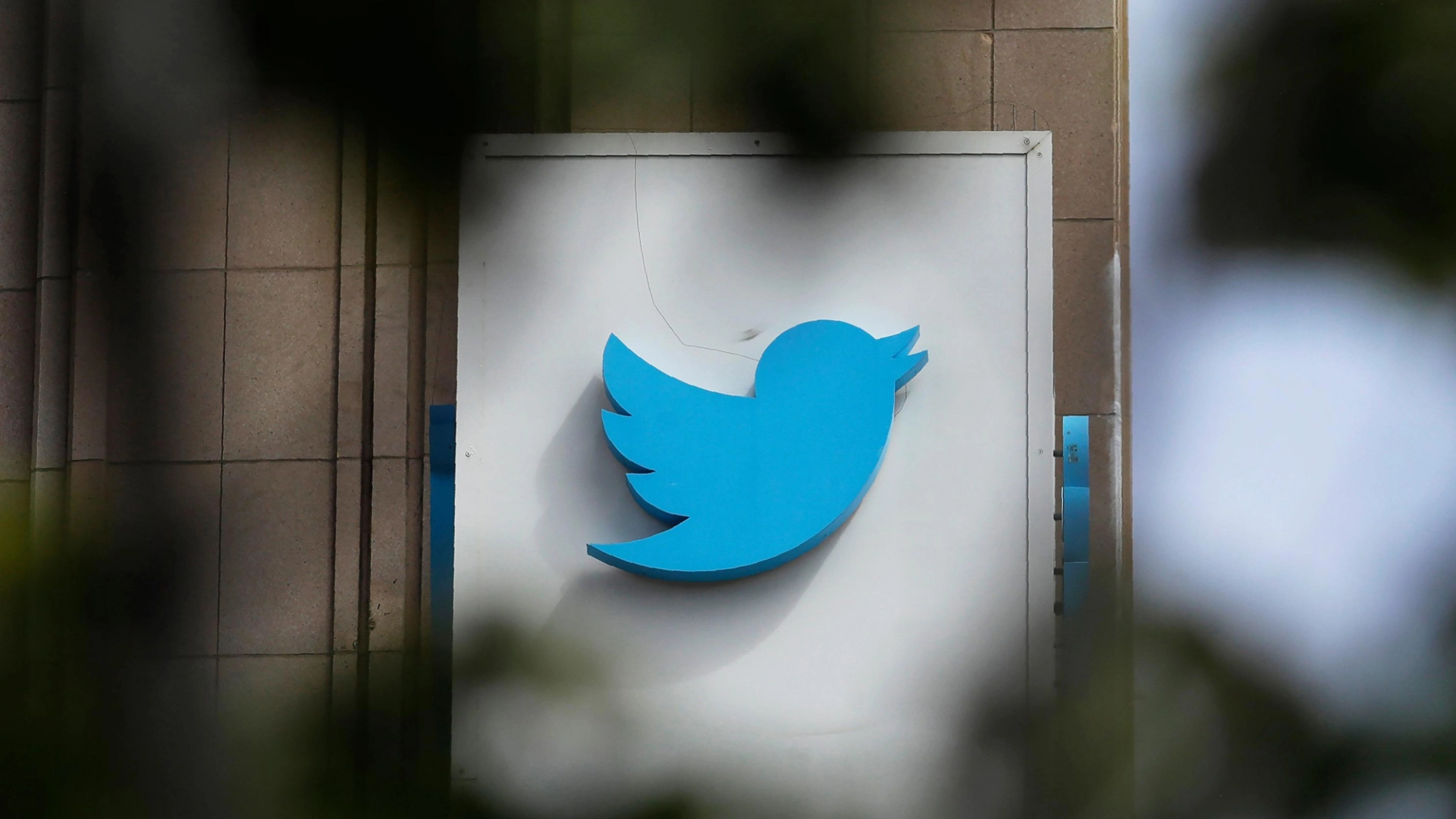 Bloomberg: Twitter просит некоторых уволенных сотрудников вернуться в компанию