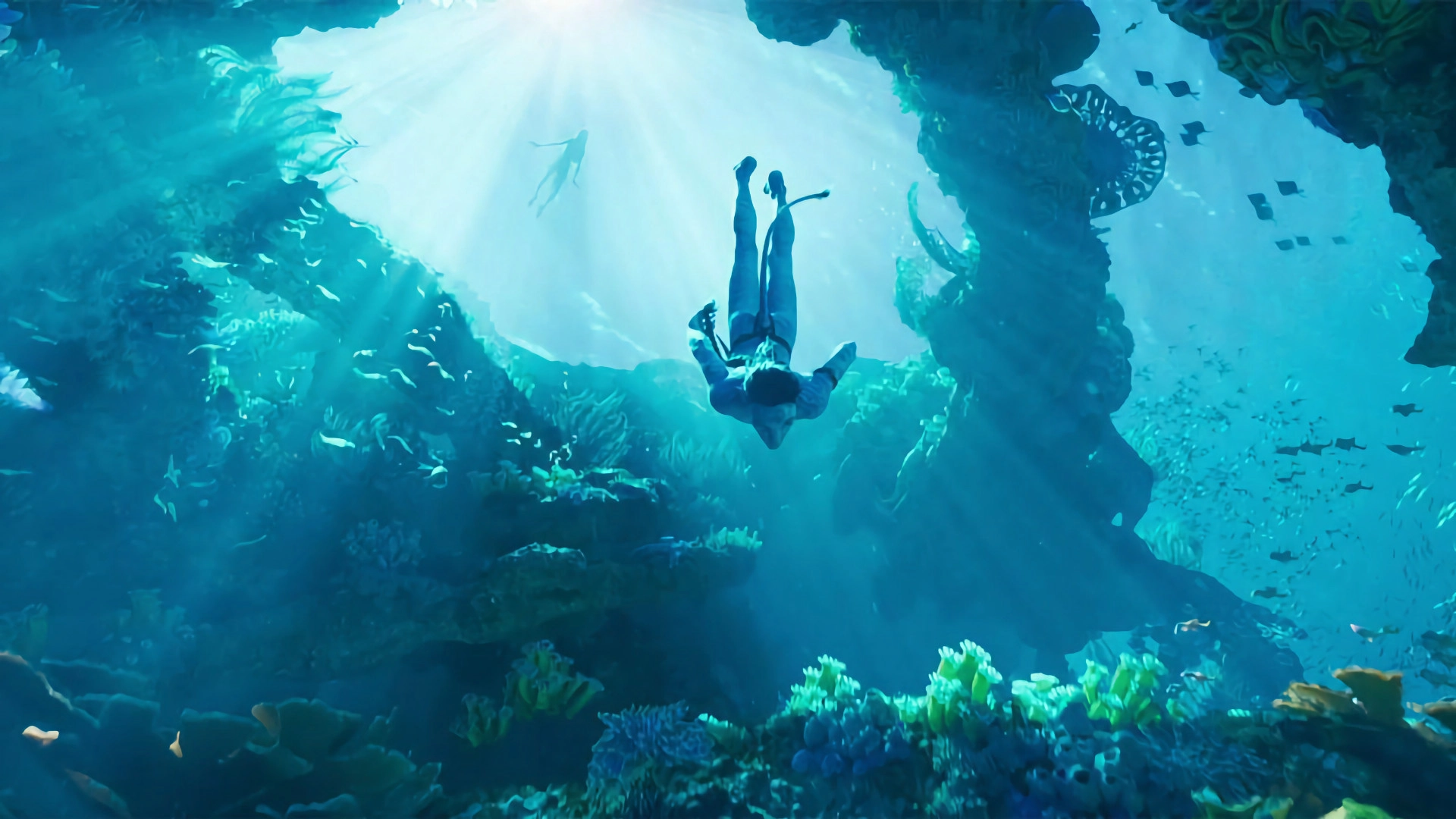 «Известия»: некоторые российские кинотеатры начнут показ нового «Аватара» 22 декабря