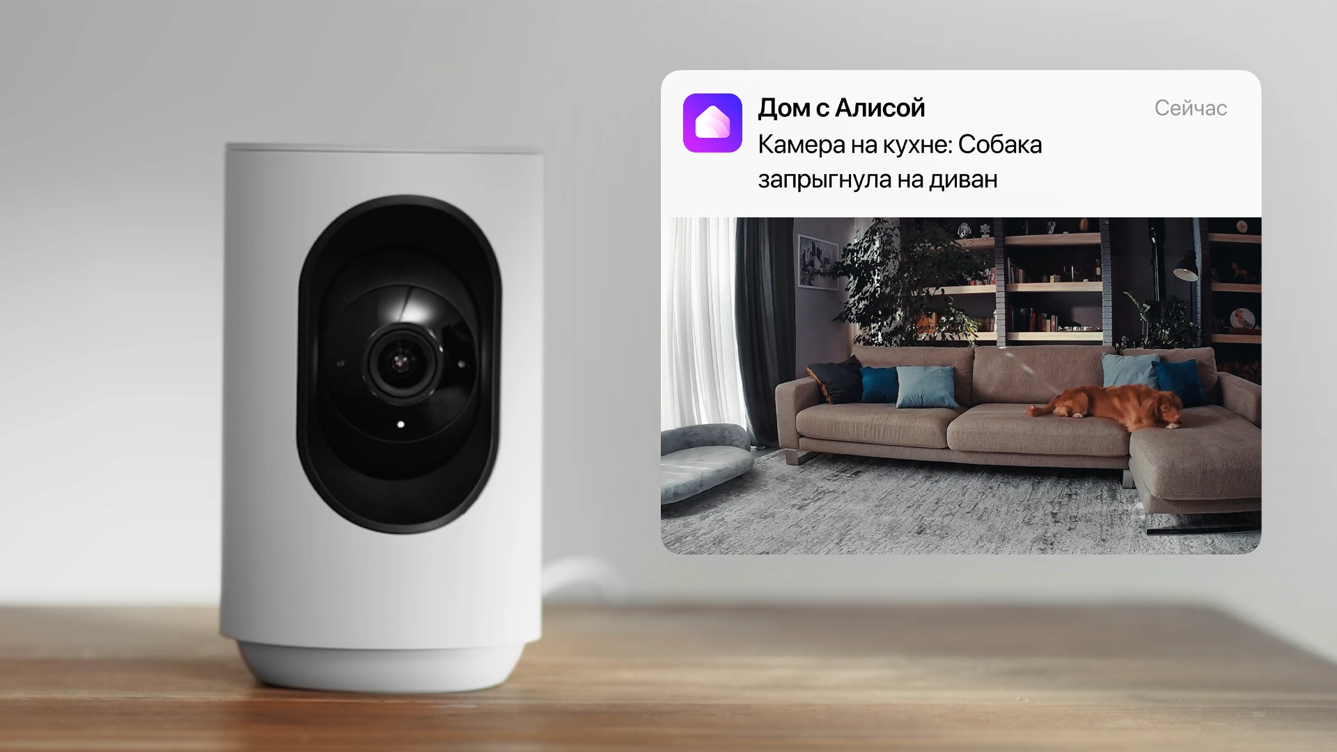 «Яндекс» научил свою IP-камеру понимать, что происходит в кадре, при помощи ИИ