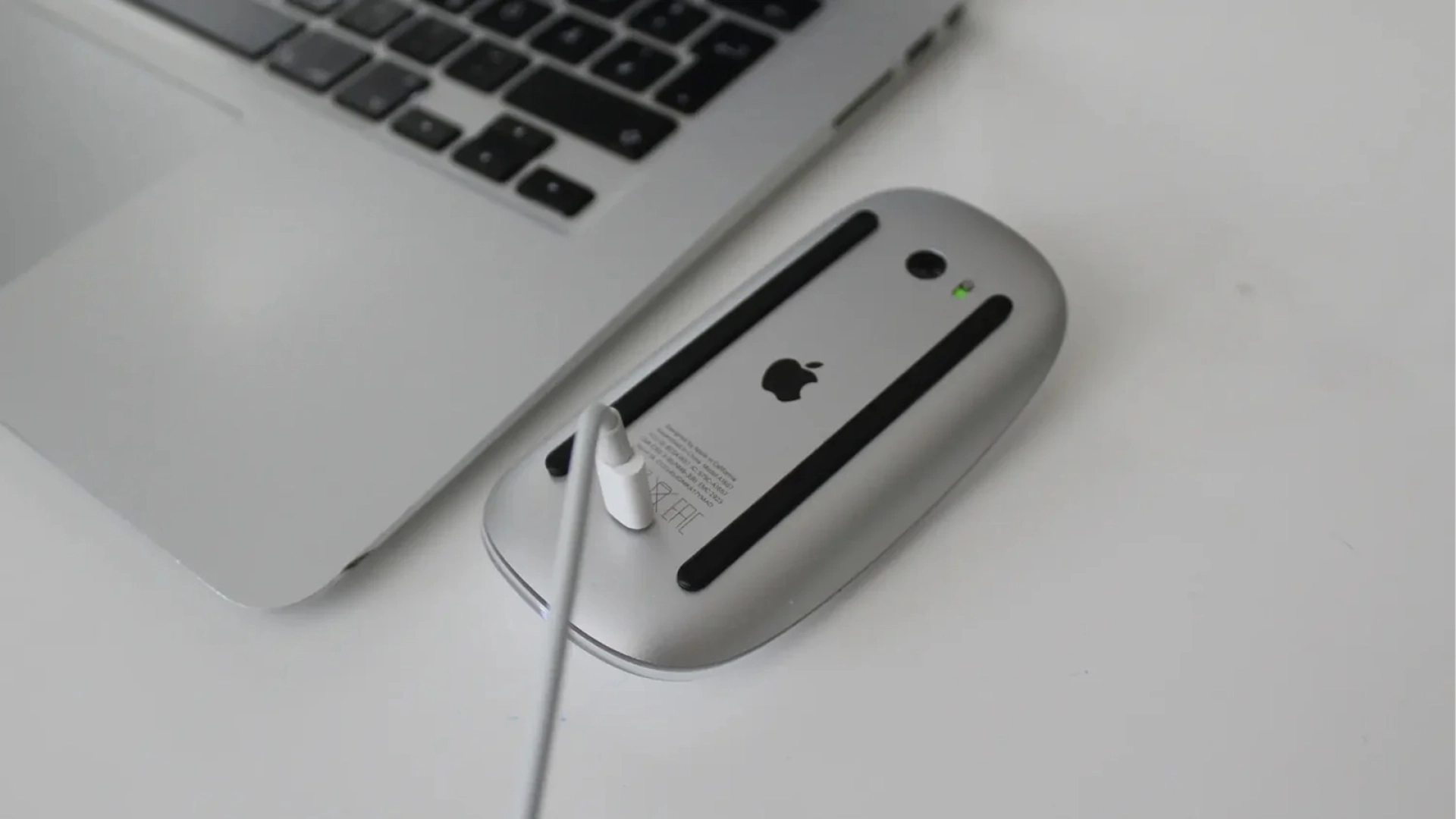 Bloomberg: Apple готовит редизайн Magic Mouse с новым расположением порта для зарядки