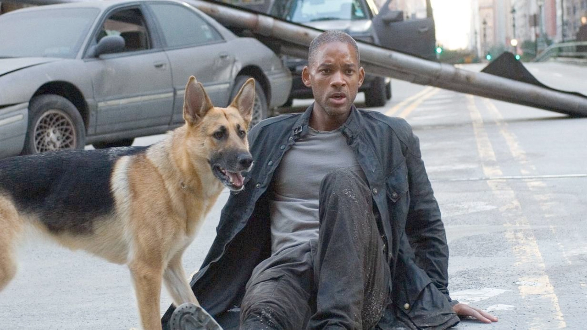 СМИ: продолжение «Я — легенда» снимет режиссёр «Крида 2» и «Восхождения Звероботов»