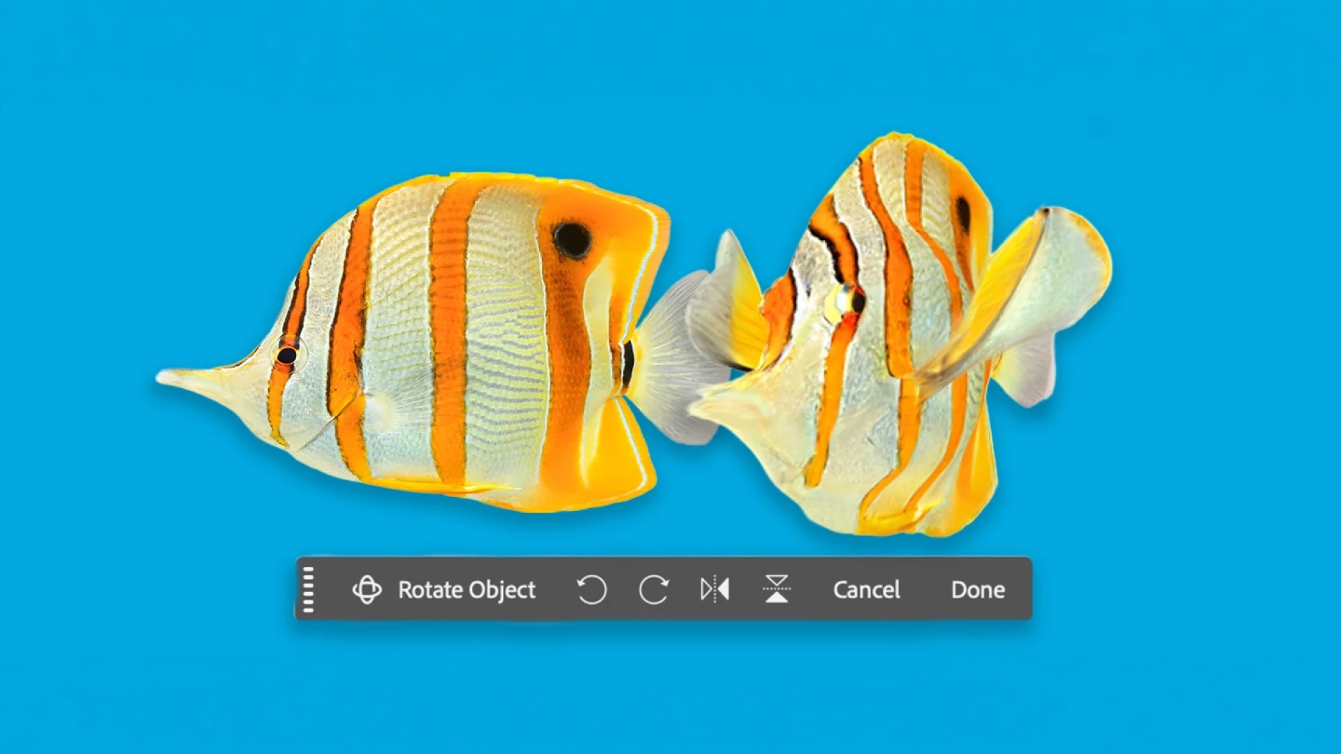 Adobe добавила функцию Rotate Object в Photoshop для преобразования 2D-объектов в 3D