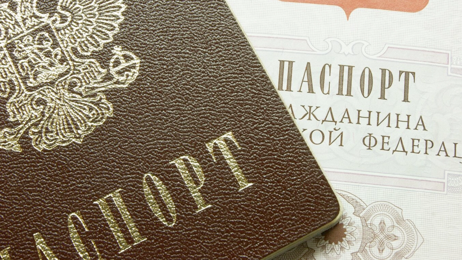 В паспорт России можно будет поставить отметку с ключом для идентификации в госсистемах