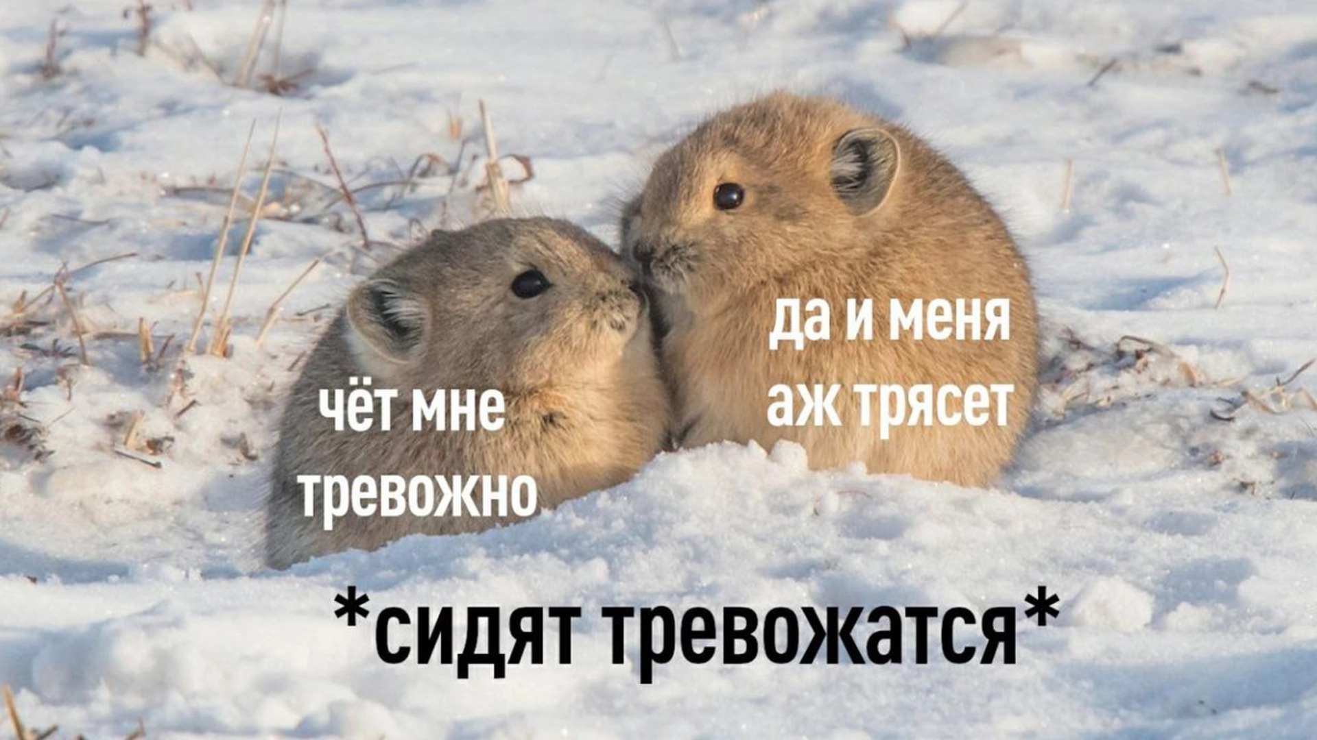 КРОС: блокировки интернета стали главной причиной тревожности россиян