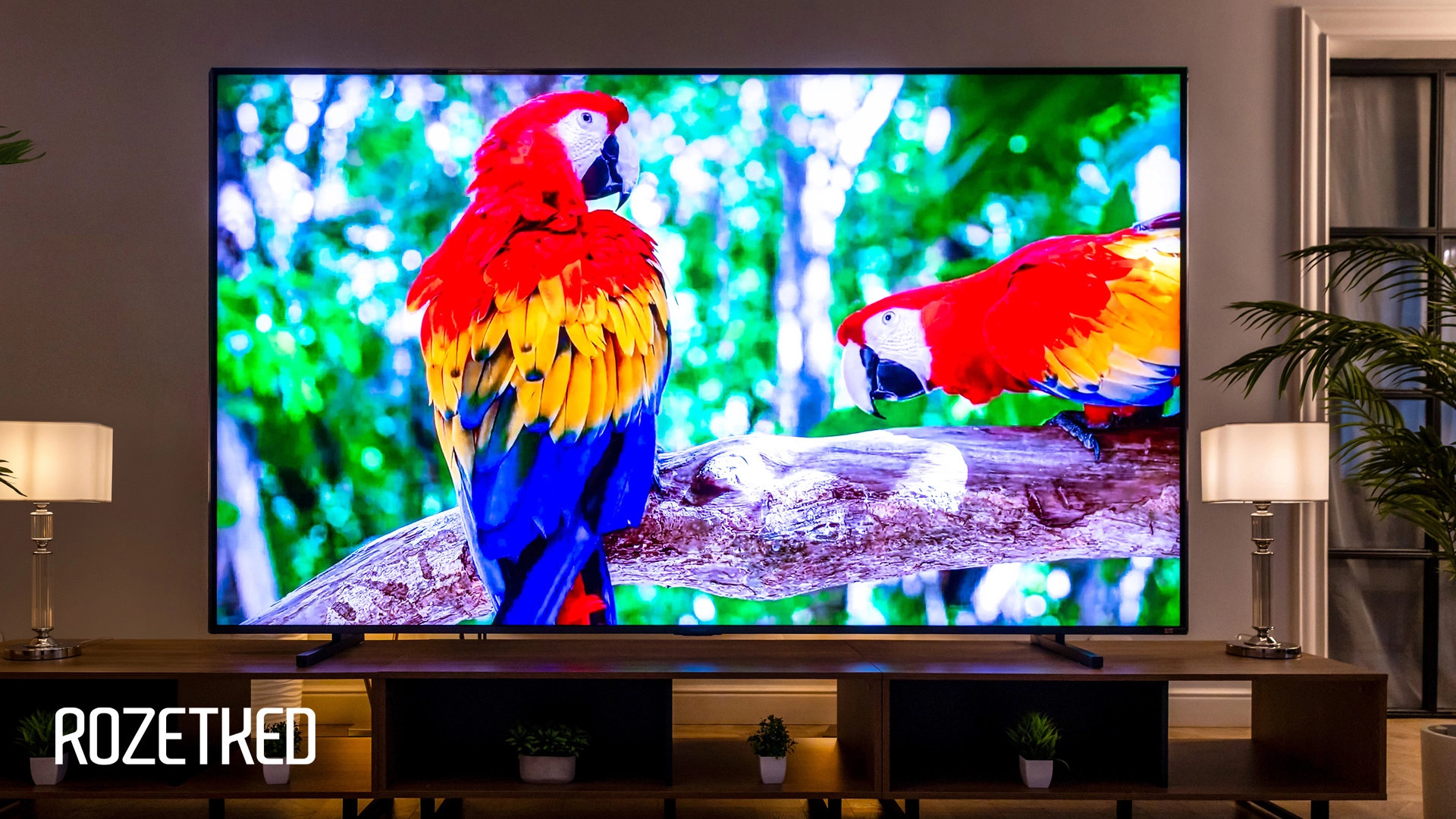 Обзор телевизора Hisense RGB-miniLED 116UXQ: технологии без компромиссов