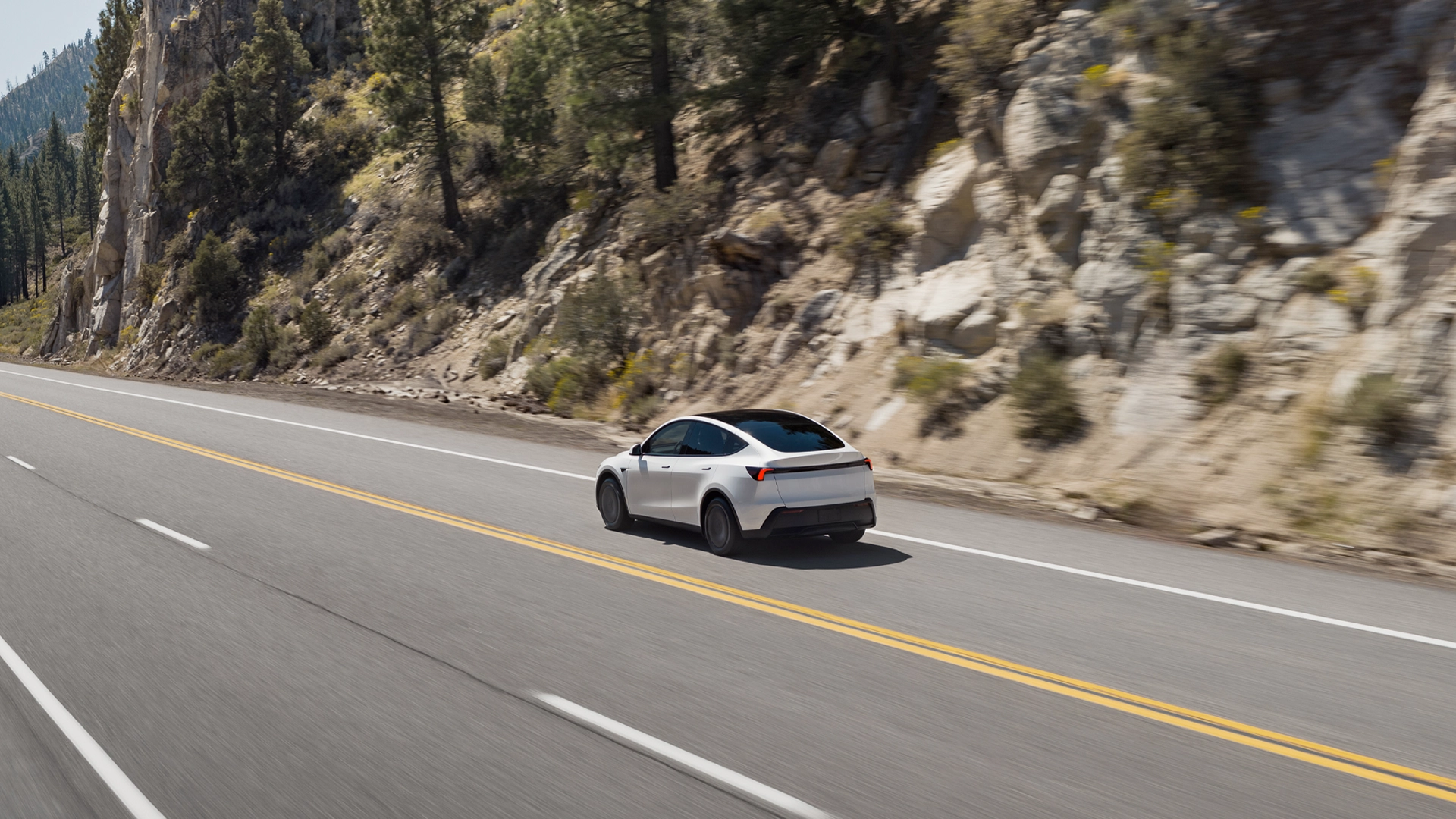 Tesla представила Standard-версии Model Y и Model 3 — «свои самые доступные автомобили»