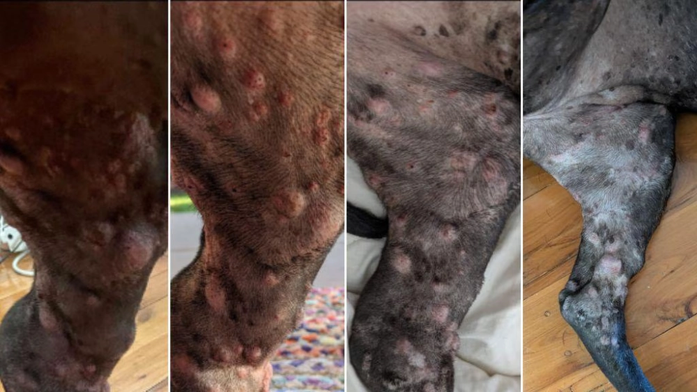 Прогресс лечения за полгода, с ноября по март