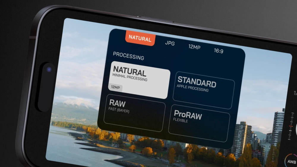 Источник: Moment