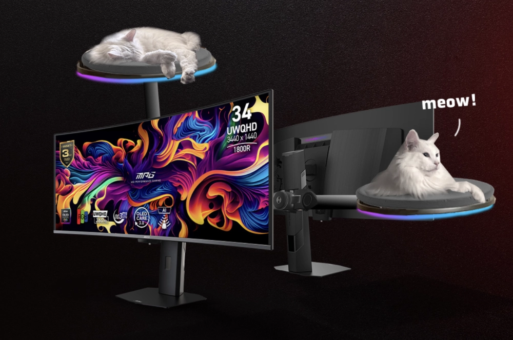 *Моти (кот) в комплект не входит